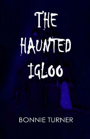 [Arctic Series 01] • The Haunted Igloo